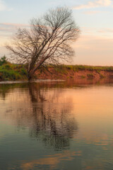 Beautiful sunset over the river with separated tree. Travel destination Russia