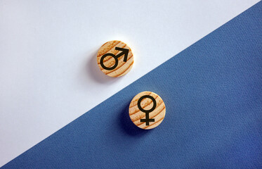 Gender equality concept. Wood circles with male equals female symbol on white and blue background....