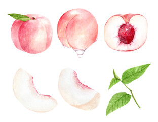 いろいろな桃のセット　バリエーション　水彩イラスト