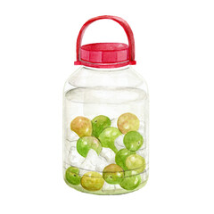 梅酒の瓶　水彩イラスト