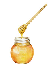 蜂蜜をすくう　ハニーディッパー　水彩イラスト