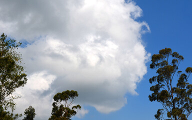 Obraz premium clouds over the sky