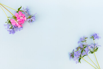 composition of blue Phlox and bright pink, for contrast, on a blue background. Space for text. The flowers are located at the corners of the frame. Concept-layout for a greeting card. Horizontal photo