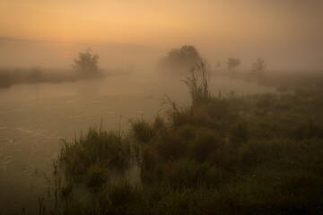 morning mist over the river
