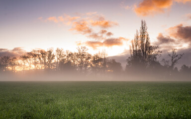 Atardecer en sector rural