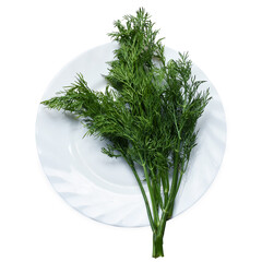 Fennel on a plate isolated top view. Fresh bundle of dill, vegetarian food on white background