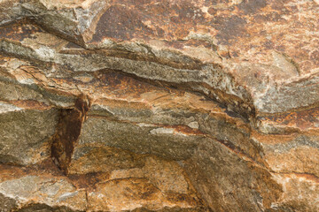 close up of a rock