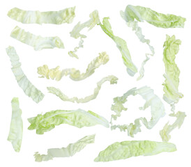 Fresh cut Chinese cabbage leaves falling on white background