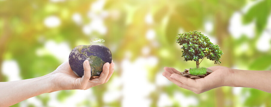 Environment day concept: Hands holding tree and earth over blurred nature background. Elements of this image furnished by NASA