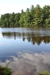 lake in the forest