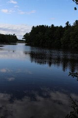 reflection of trees in water