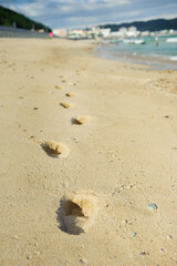 footprints on the beach