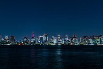 Obraz premium Tokyo Night view from Rainbow bridge