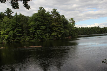 Obraz premium river in the park