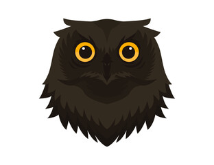 owl on white background