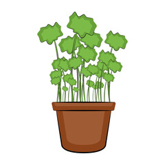 Vegetable or spice plant in a pot. Urban farming gardening - Vector