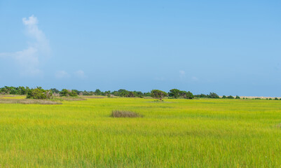 Beautiful View Fort Fisher