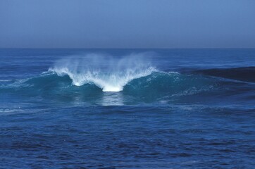 WAVE IN PACIFIC OCEAN, CALIFORNIA