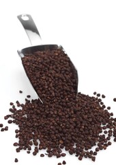 GRAINS OF PARADISE aframomum melegueta, AN AFRICAN SPICE