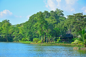 Lake and trees at Ninoy Aquino parks and wildlife center in Quezon City, Philippines