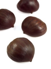 CHESTNUTS AGAINST WHITE BACKGROUND