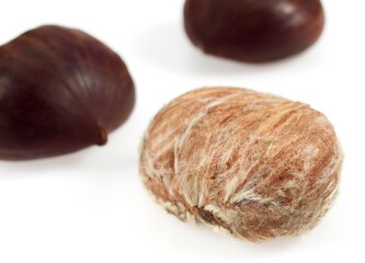 CHESTNUTS AGAINST WHITE BACKGROUND
