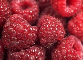 CLOSE-UP OF RASPBERRIES