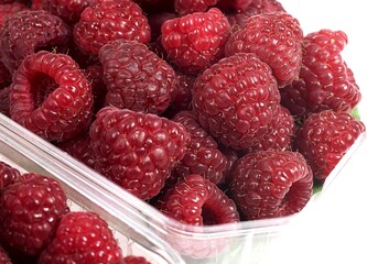 RASPBERRIES AGAINST WHITE BACKGROUND