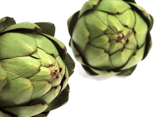 ARTICHOKES AGAINST WHITE BACKGROUND