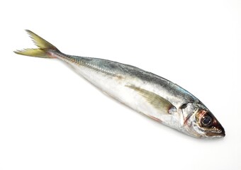 FRESH HORSE MACKEREL AGAINST WHITE BACKGROUND