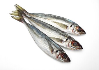 FRESH HORSE MACKEREL AGAINST WHITE BACKGROUND