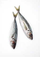 FRESH HORSE MACKEREL AGAINST WHITE BACKGROUND