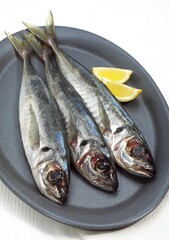 FRESH HORSE MACKEREL IN A PLATE WITH LEMON