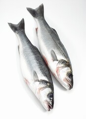 FRESH BASS AGAINST WHITE BACKGROUND