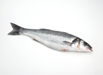 FRESH BASS AGAINST WHITE BACKGROUND