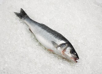 FRESH BASS ON ICE