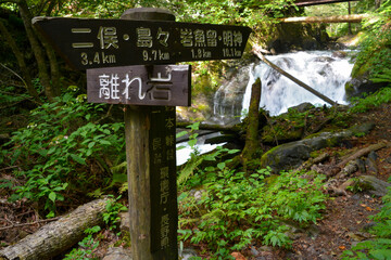徳本峠から島々の間にある、離れ岩の木製の道標。清流の沢。離れ岩、環境庁、長野県、二俣、島々、岩魚留、明神。