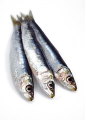FRESH SARDINES AGAINST WHITE BACKGROUND