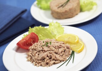 SALAD PLATE WITH TUNA FISH, TOMATO AND YELLOW LEMON