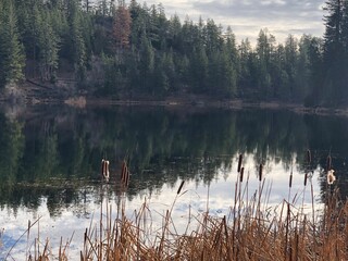 Obraz premium morning on the lake