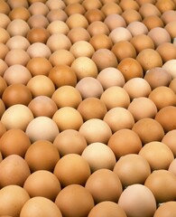 EGGS AT THE MARKET