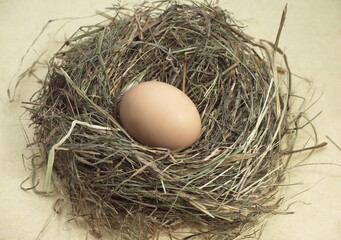 EGG IN NEST