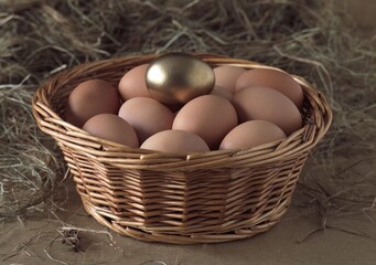 EGGS IN BASKET WITH A GOLDEN ONE, SYMBOLIC IMAGE FOR THE HEN AND THE GOLDEN EGG