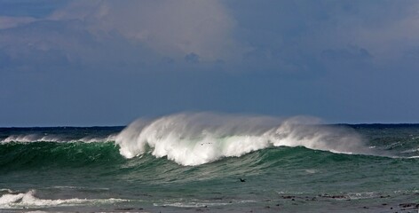 COAST AT HERMANUS IN SOUTH AFRICA, INDIAN OCEAN
