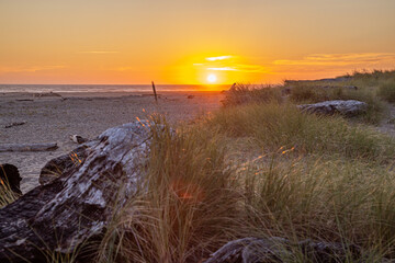 Sunset over the Pacific Ocean with grasses and drift wood