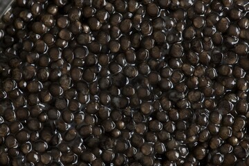 CAVIAR, STURGEON'S EGGS