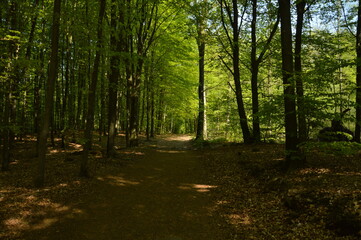 Söderåsen, skåne, nationalpark