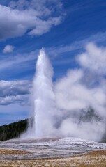 GEYSER IN YELLOWSTONE NATIONAL PARK, WYOMING