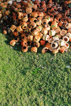 Coconut garbage