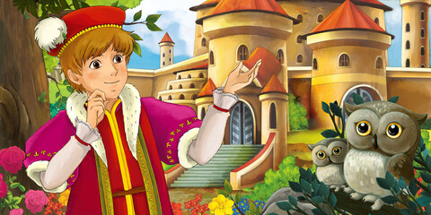 Cartoon scene with owls with beautiful castle near forest with young boy illustration